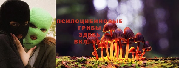 твердый Губаха