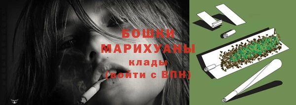 PSILOCYBIN Новокубанск
