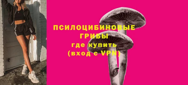 PSILOCYBIN Нязепетровск