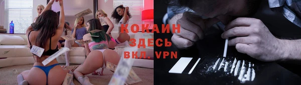 прущие грибы Нягань