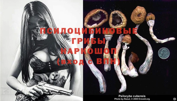 PSILOCYBIN Новокубанск