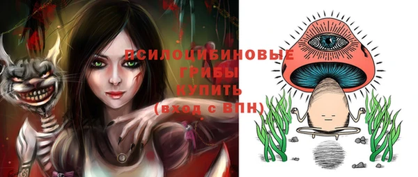 PSILOCYBIN Нязепетровск
