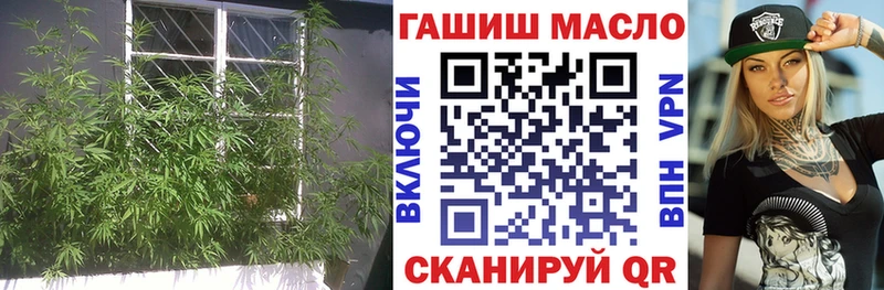 ТГК THC oil  хочу наркоту  Пыталово 