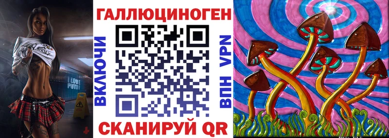 OMG ССЫЛКА  Пыталово  Псилоцибиновые грибы мицелий 